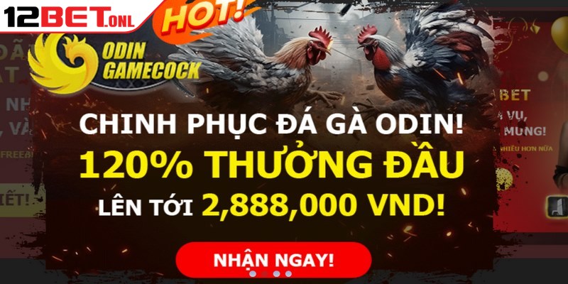Đại Lý 12BET - Hướng Dẫn Thành Viên Hợp Tác Dễ Dàng 17 Thành viên sở hữu ID chính thức sẽ được tận hưởng vô số ưu đãi